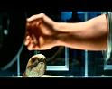 PDVD_585