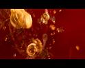 PDVD_597