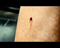PDVD_598