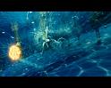 PDVD_892
