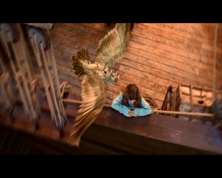 PDVD_909.jpg