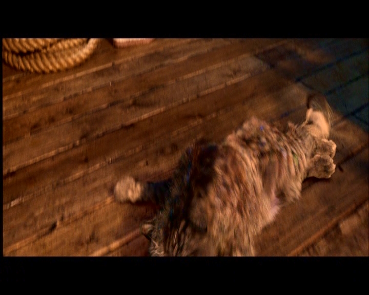 PDVD_910.jpg
