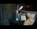 PDVD_1044