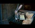 PDVD_1045