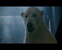 PDVD_1102