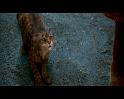 PDVD_1126