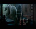 PDVD_1172