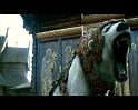 PDVD_1195