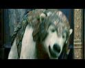 PDVD_1210