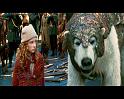 PDVD_1216