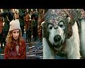 PDVD_1219