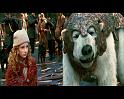 PDVD_1220