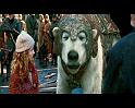 PDVD_1234