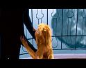PDVD_1270