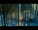 PDVD_1284