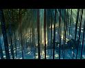 PDVD_1285