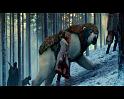 PDVD_1294