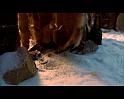 PDVD_1319