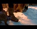 PDVD_1320