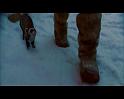 PDVD_1321