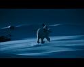 PDVD_1363