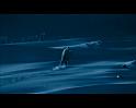 PDVD_1364