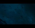 PDVD_1369