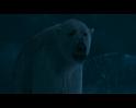 PDVD_1385