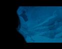 PDVD_1455