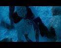 PDVD_1476
