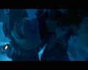 PDVD_1481