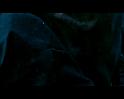 PDVD_1493