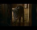 PDVD_153