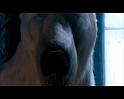PDVD_1536