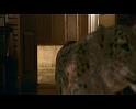 PDVD_154