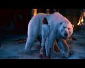 PDVD_1583