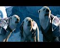 PDVD_1673