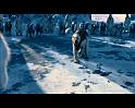 PDVD_1719