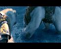 PDVD_1724