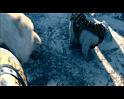 PDVD_1732