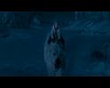 PDVD_1771