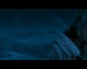 PDVD_1786