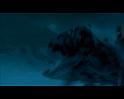 PDVD_2112