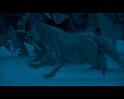 PDVD_2195