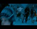 PDVD_2277