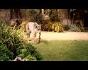 PDVD_234