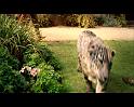PDVD_235