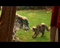 PDVD_255