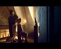 PDVD_294