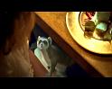 PDVD_337